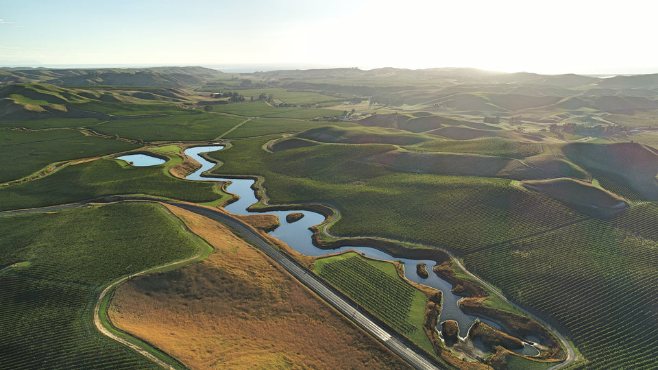 Our Vineyards
