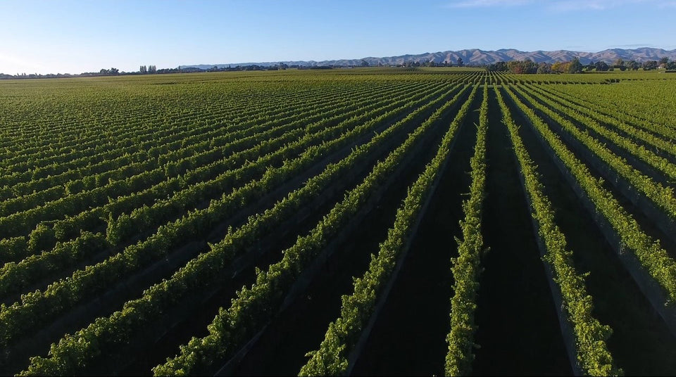 Wairau Valley