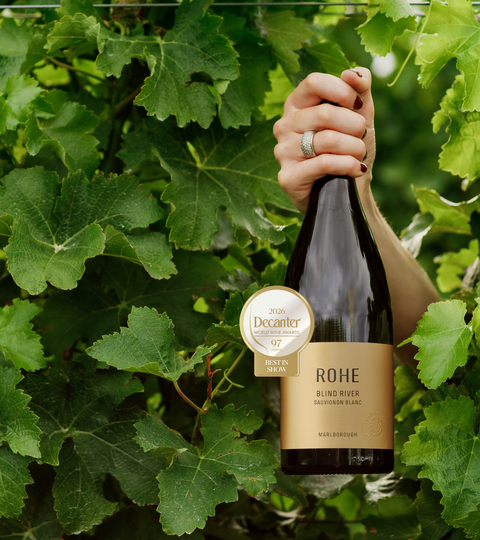 Decanter's Best Sauvignon Blanc