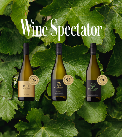 Top Rated 2024 Sauvignon Blancs